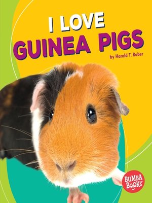 cover image of I Love Guinea Pigs